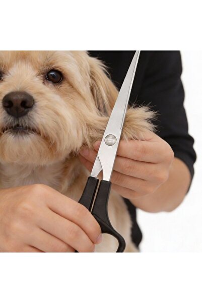 idei Foarfecă profesională dreaptă pentru îngrijirea blănii animalelor 5,5×17...