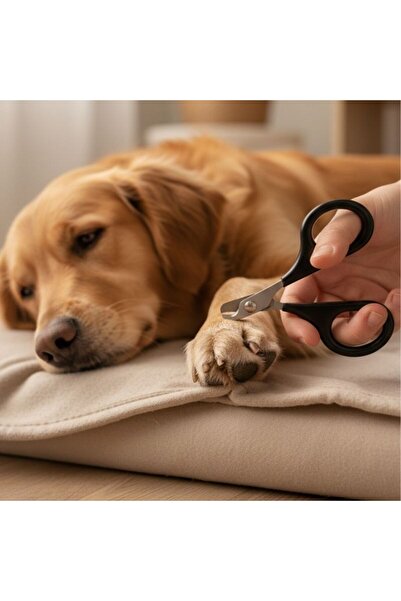 idei Pet nail scissors 5.5×8 cm, nail cutting tool for cats and small dogs, c...