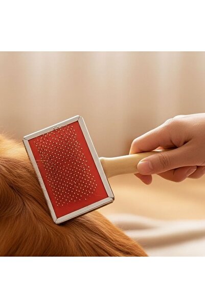 idei Medium brushing comb with wooden handle 8.8×11.5 cm, grooming tool for r...