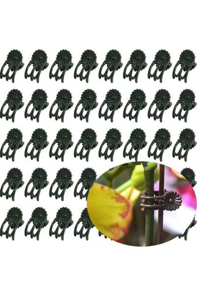 Morvena Picks 50 cleme pentru plante, cleme suport din plastic pentru orhidee...