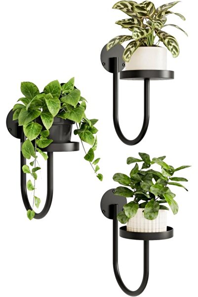 Morvena Picks Suport pentru plante montat pe perete - Suport pentru plante de...