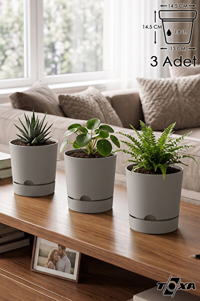 ToXA 3 Adet 1.8 Litre Begonya Saksı
