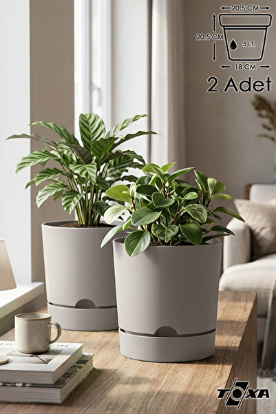 ToXA 2 Litre 5 Litre Begonya Saksı
