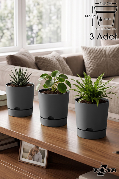 ToXA 3 Adet 1.8 Litre Begonya Saksı