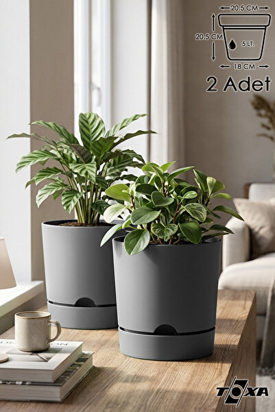 ToXA 2 Litre 5 Litre Begonya Saksı