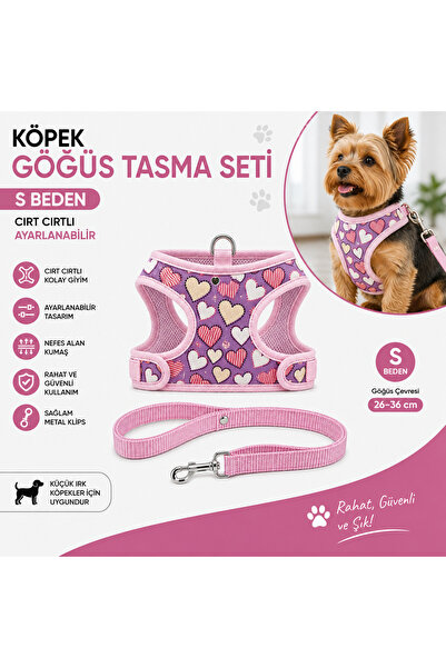 Baron Pet Köpek Göğüs Tasması ve Sevk Kayışı Seti S Beden 26-36 cm Cırt Cırtl...