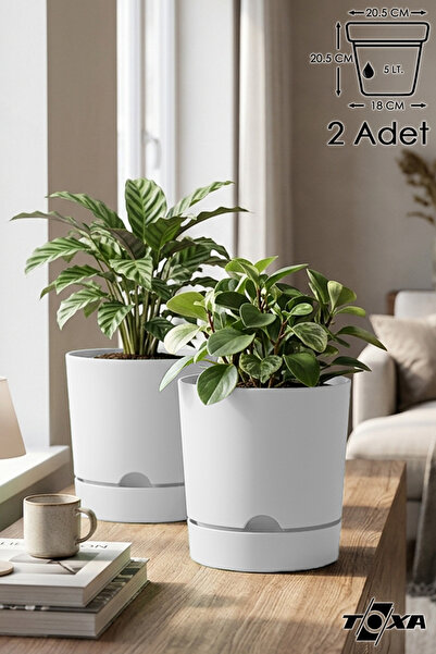 ToXA 2 Litre 5 Litre Begonya Saksı