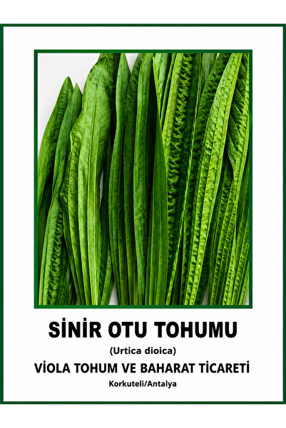Greenherb SİNİR OTU (DAMAR OTU ) TOHUMU
