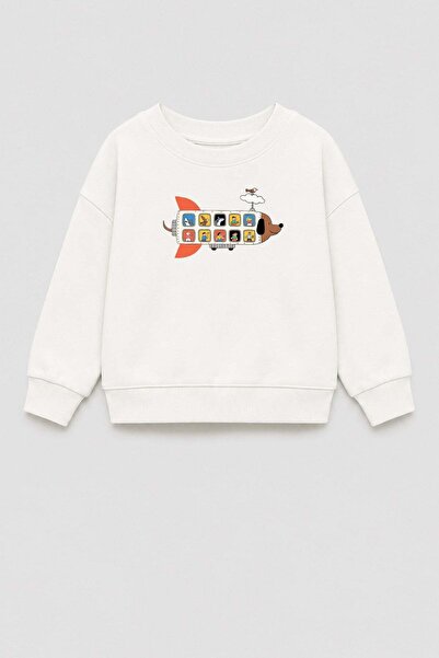 Monila Erkek Çocuk 3 İplik Kumaş Pamuklu Uçak Baskılı Sweatshirt