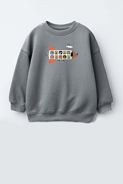 Monila Erkek Çocuk 3 İplik Kumaş Pamuklu Uçak Baskılı Sweatshirt