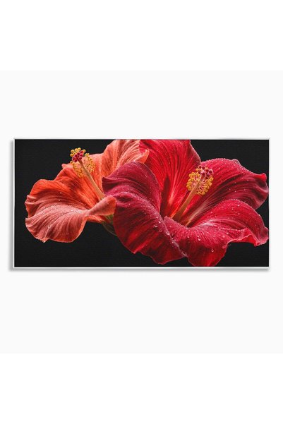 Luxcanva Tablou Canvas Floare De Hibiscus 100x50 cm cu Rama Argintiu Floare H...
