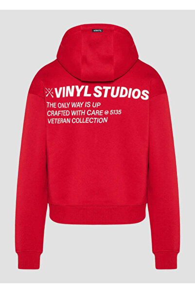 VINYL ART CLOTHING Ανδρικό μακρυμάνικο φούτερ με κουκούλα -75757-55- Studios ...