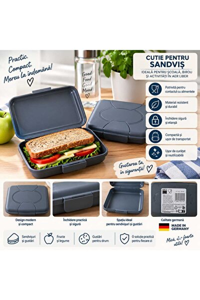 Generic Brand Sandwich box