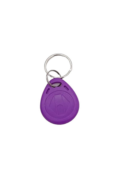 OEM RFID Keychain 125 kHz EM4100 non-writable Color: Purple