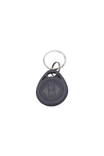 OEM RFID Keychain 125 kHz EM4100 non-writable Color: Gray