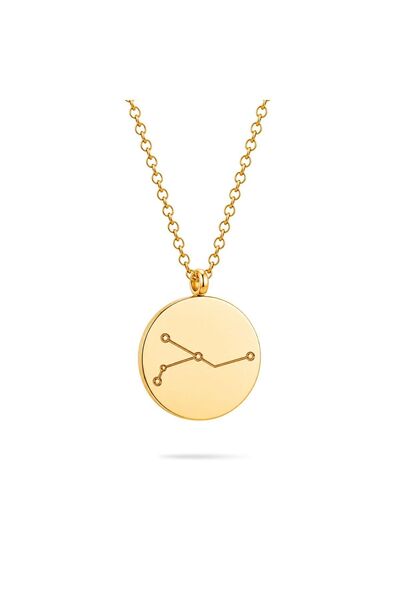 Bijuteria SORELLY 14k Gold-Plated Necklace: The Constellation Stainless Steel
