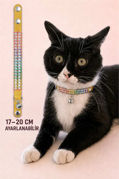 Suni Deri Renkli Taşlı Zilli Kedi Boyun Tasması – 17-20 cm Ayarlanabilir