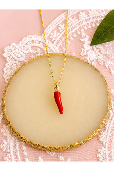 FLAWSOME JEWELRY STORE Red Pepper Shaped Necklace Steel Tarnish Resistant Nec...
