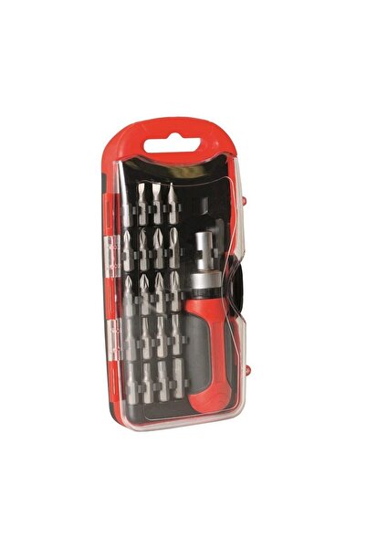 SMA Set capete surubelnite, biti cu clichet DE 101484, cutie plastic, 21 pies...