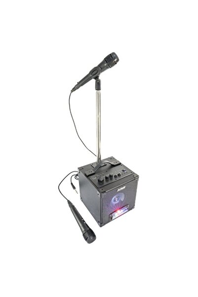 Party Boxa Karaoke cu stativ si 2 microfoane, 195 x 208 x 213 mm