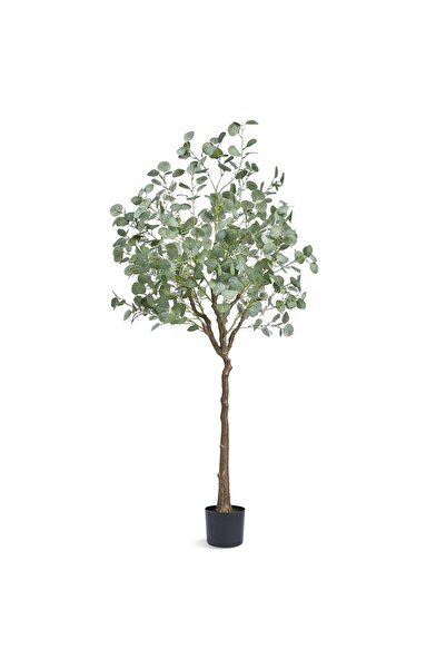 OEM Eucalipt artificial, Dimensiuni 800 x 800 x 1810 mm, Verde/Maro, PE si Inox