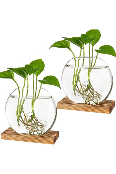 Morvena Picks Set de 2 stații de propagare din sticlă – Jardinieră rotundă cu...