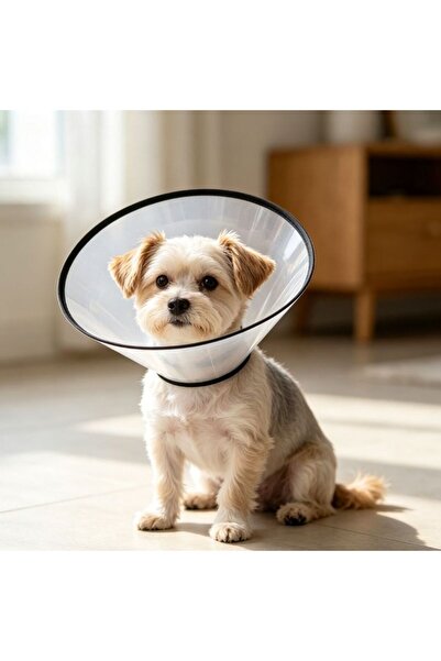 idei Conical protective collar 26-29 cm white, postoperative accessory, preve...