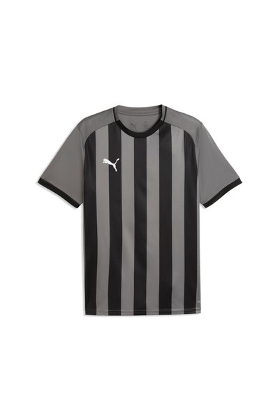Puma TeamLIGA26 Striped Forma 706550-13