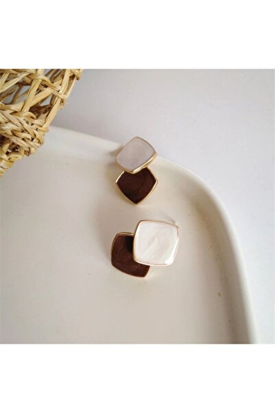 dorbe Women's Brown Rhinestone Steel Earrings