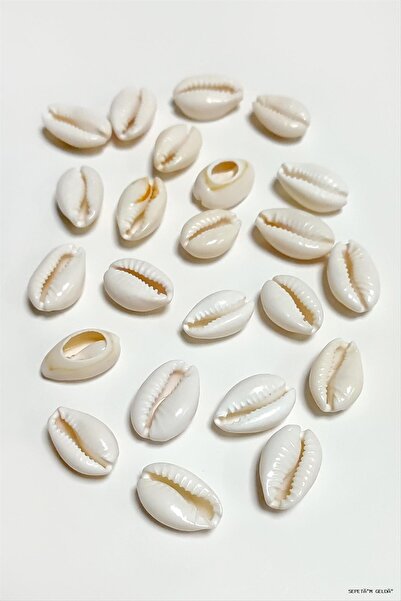 ZERO LAND Spt-Gld 10 Pieces Oyster Horse (04046) Small White