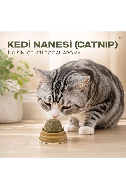 Dönen Kedi Nanesi Topu (Catnip) – Yapışkanlı Diş Temizleyici ve Stres Giderici Kedi Oyuncağı