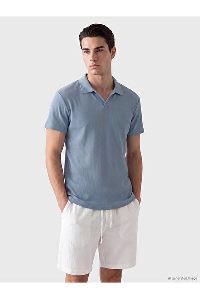 LC Waikiki Vizyon New Season Blue Standard Fit Polo Collar Ribbed Men's T-Shirt