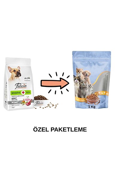 Felicia Hipoalerjenik Kuzulu ve Pirinçli Küçük Irk Düşük Tahıllı Yetişkin Köp...