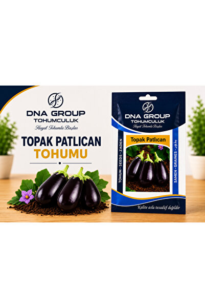 TOPAK PATLICAN tohumu yerli standart net 2 gr 400+ adet