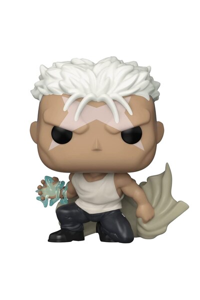 Funko Pop! Animation: Fullmetal Alchemist: Brotherhood- Scar