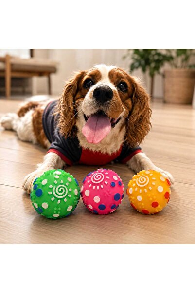 Genel Markalar Çilek Garden Pet 3’lü Renkli Dokulu Köpek Oyun Topu Seti