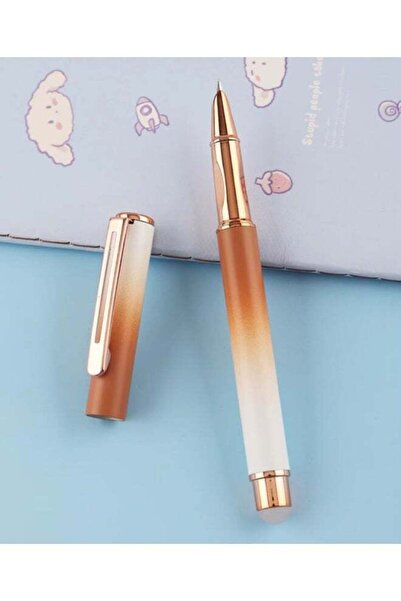 ViViRaSmi Fountain Pen, Multi-Coloured Calligraphy Pen with Fine Nib and Ink ...