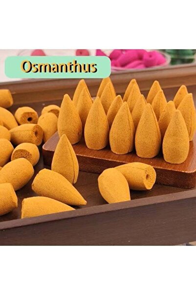ViViRaSmi Premium Backflow Incense Cones (148-Piece Mega Bundle) – All-Natura...