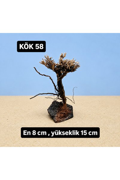KÖK 58