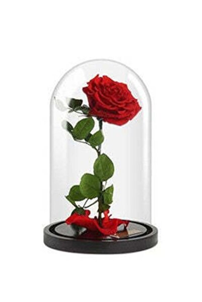 OEM Red Rose In Bottle