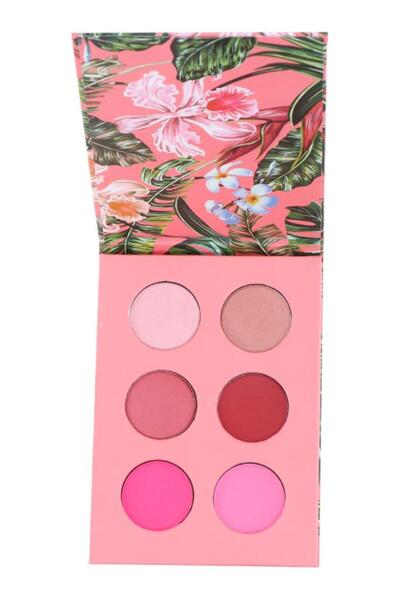 Brooklyn Tımeless Beauty Pembe Far Palet 6Lı
