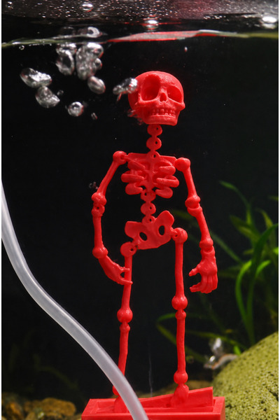 CNCMAN3D Akvaryum Dans eden İskelet