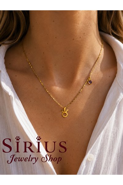sirius jewelry Altın Kaplama Burç Kolyesi