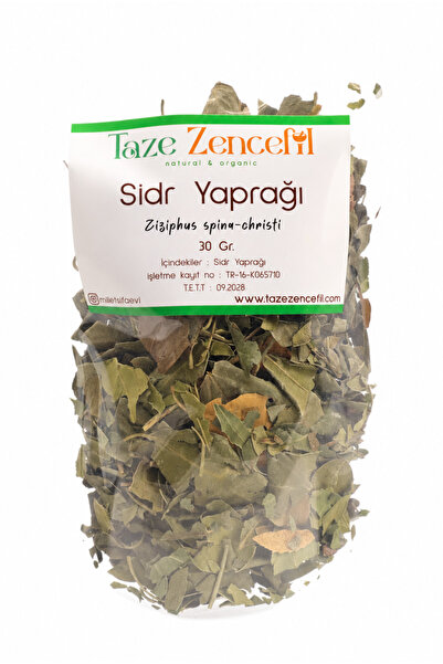 taze zencefil natural organic Sidr Yaprağı