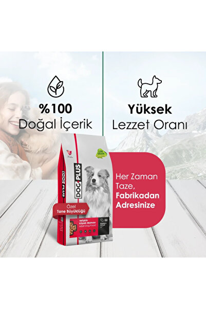 DogPlus Düşük Tahıllı Hipoalerjenik Kuzu Etli Yetişkin Köpek Maması 15 Kg