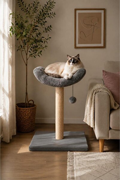 PatimPets S2 Kedi Tırmalama Tahtası Oyun Evi Silinebilir kumaş Lüks Geniş (30cm)