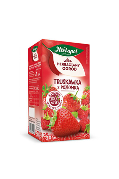 Generic Brand Ceai de fructe, Herbapol, 20 plicuri