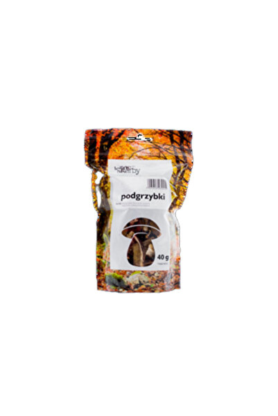 Generic Brand Kasol Hribi uscat 40g (Xerocomus Badius) Comorile Padurii