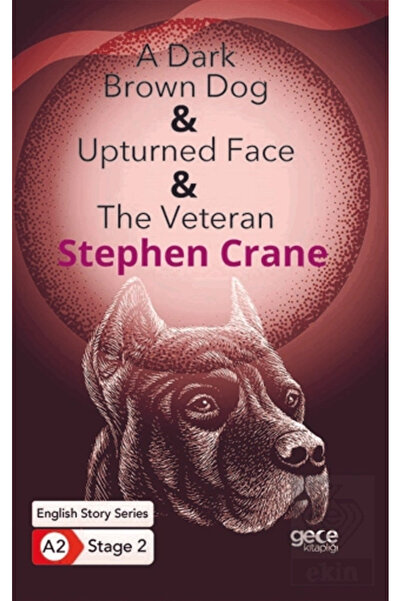Gece Kitaplığı A Dark Brown Dog Upturned Face The Veteran I /