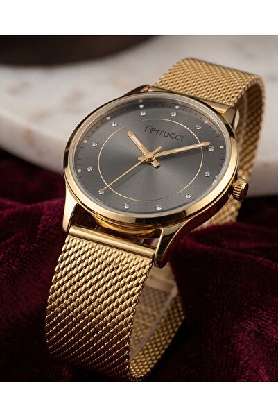 Ferrucci Women's Wristwatch 34 mm Gold Mesh Band Gray Dial Stylish Watch with...